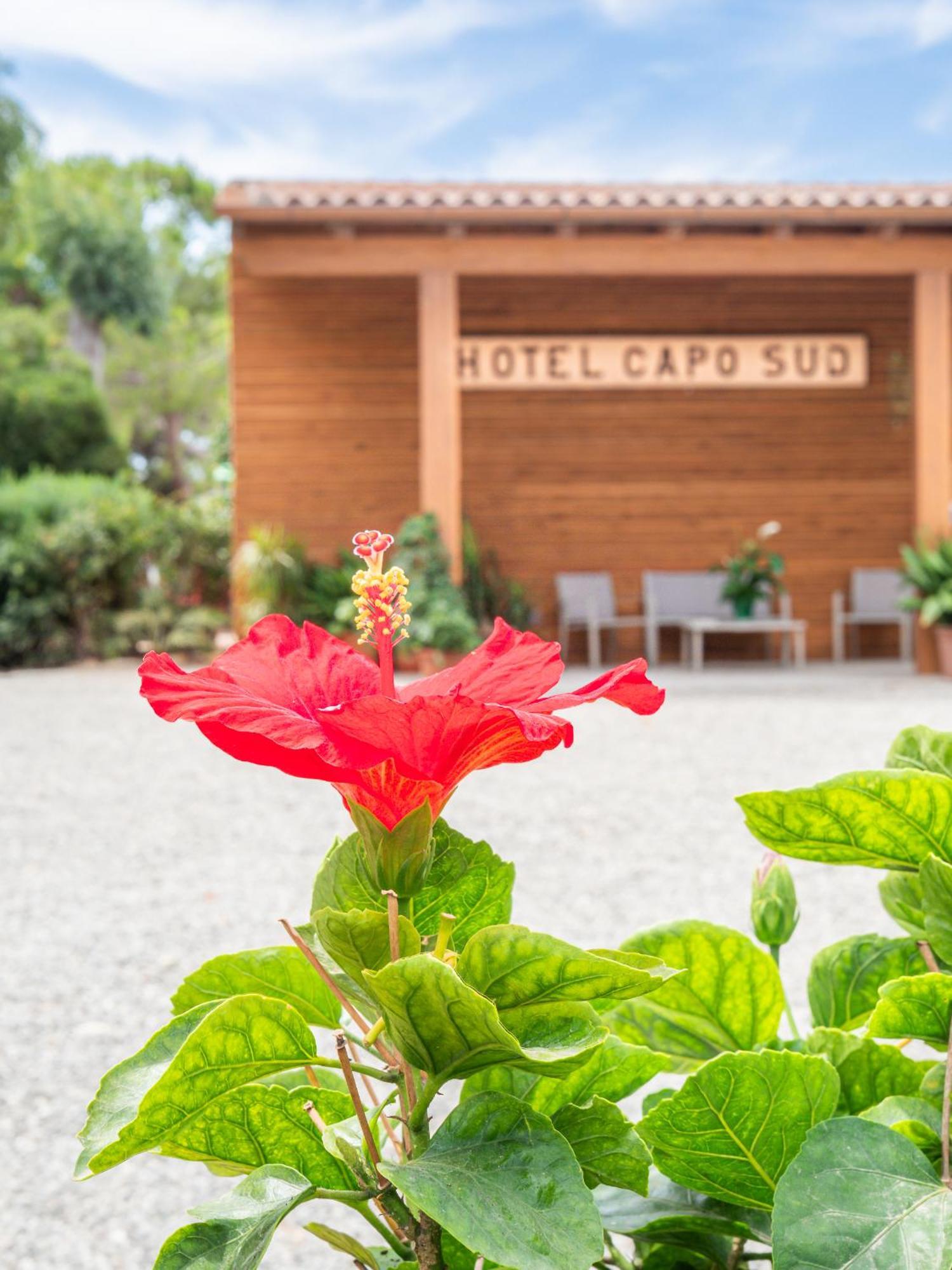 Hotel Capo Sud Lacona Kültér fotó