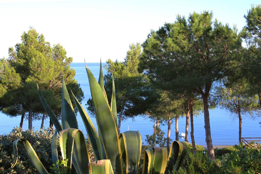 Hotel Capo Sud Lacona Kültér fotó